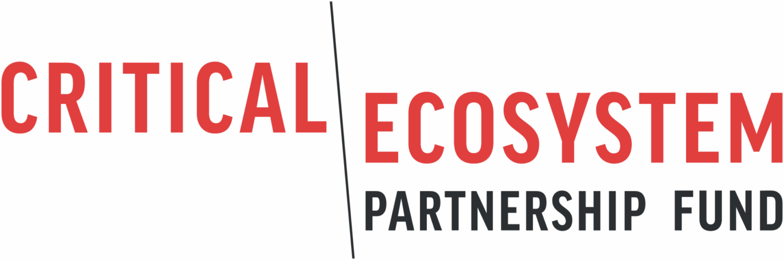 cepf-logo-2048x680-1-1536x510